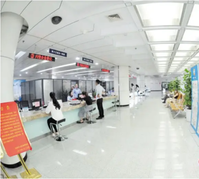 創新驅動，智領未來——長沙高新技術產業開發區政務服務中心技術服務與技術開發新篇章