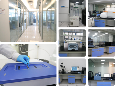 晶型定量/檢測限研究 新晶型開發及產業化的技術驅動與解決方案